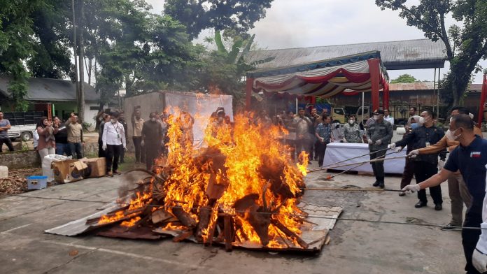 MUSNAHKAN: Para pemangku kepentingan Kehutanan melakukan pemusnahan barang bukti tindak pidana kehutanan.(Foto: Nusantaranews)